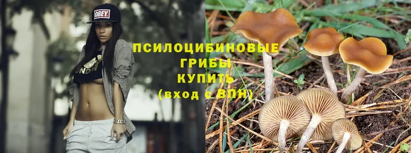 Галлюциногенные грибы Magic Shrooms  купить наркоту  Барнаул 